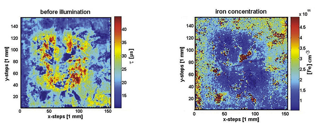 Lifetime map before illumination and resulting iron map